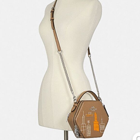 COACH X MICHEL JEAN BASQUIAT LIMITED EDITION  Hexagonal Crossbody bag nwt - Picture 10 of 16